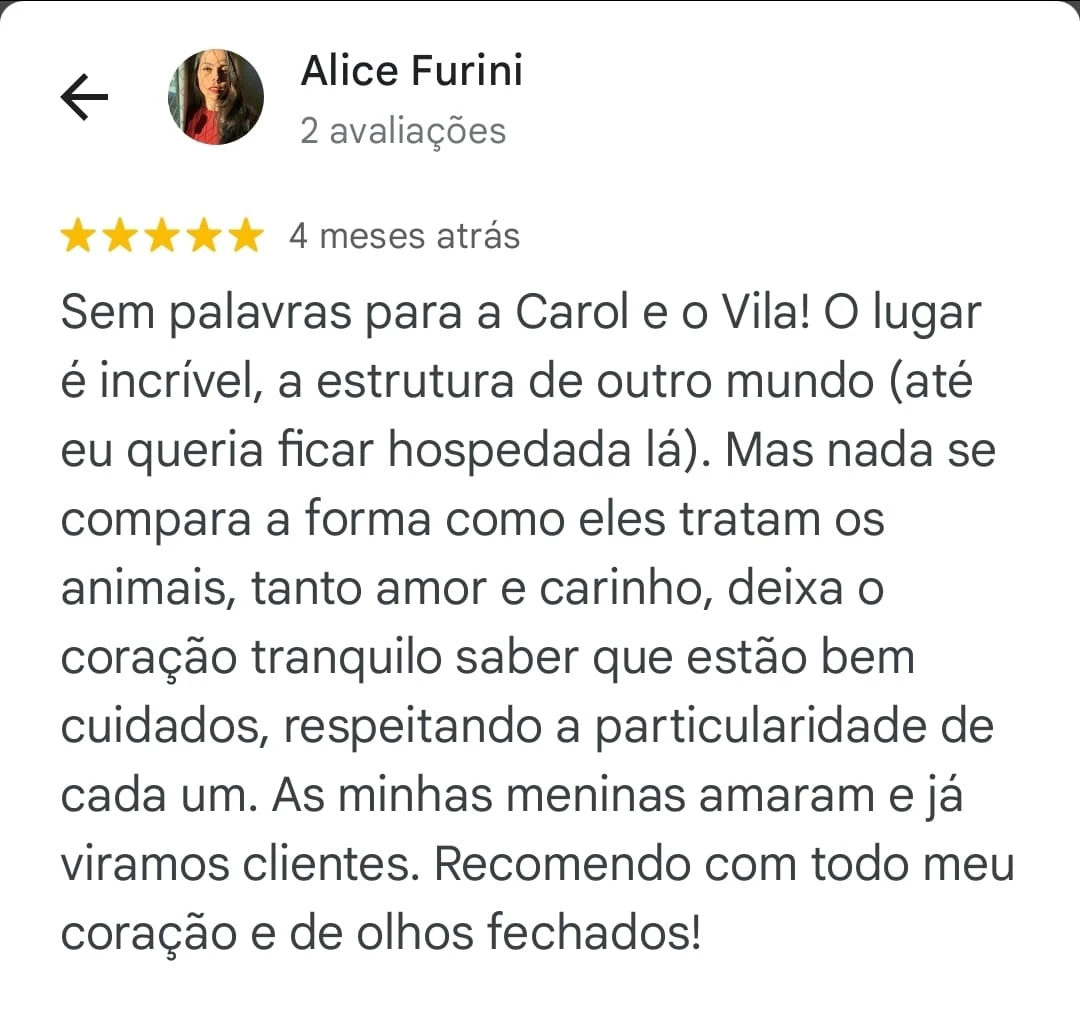 47c80751-6443-4d98-adc9-caa575d4a8e9 copiar