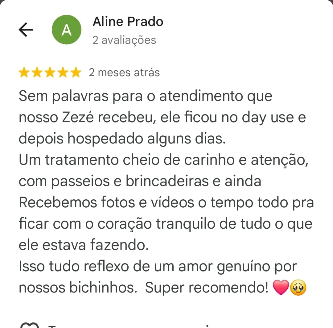 a6238b59-032d-46d9-a15e-0dc2feb9a7b0 copiar